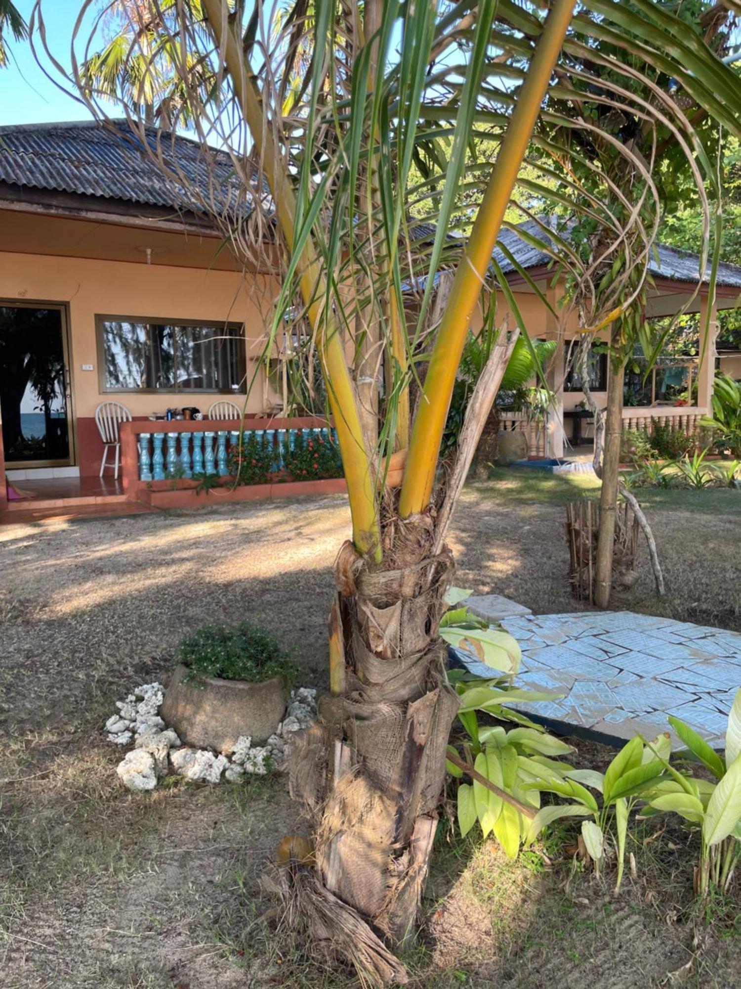Baanyaiguesthouse Koh Mak Extérieur photo